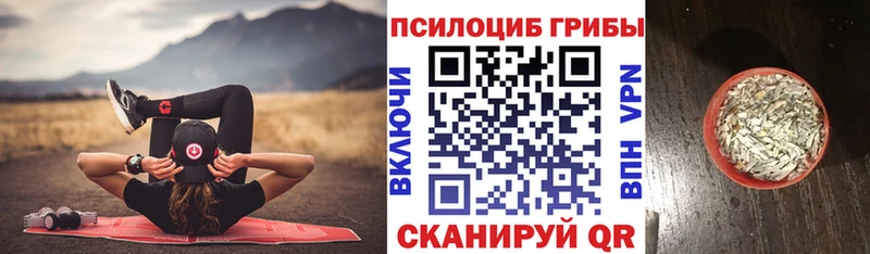 Купить закладки  Амурск  Галлюциногенные грибы Psilocybine cubensis 
